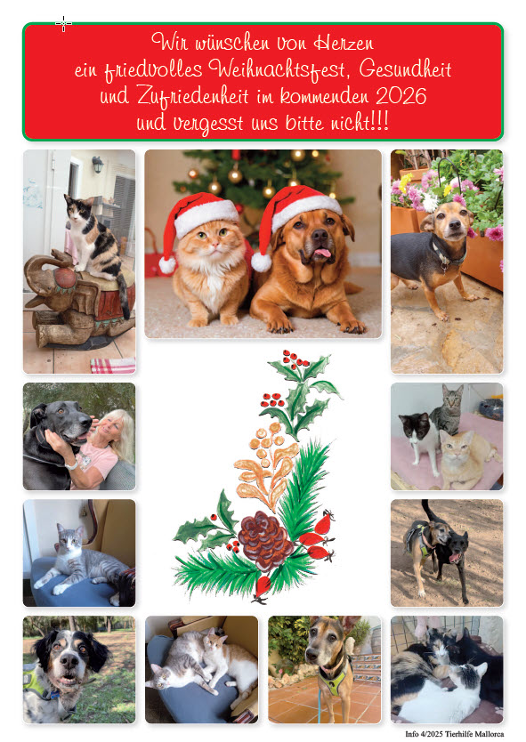 Wir wünschen von Herzen ein friedvolles Weihnachtsfest. Gesundheit und Zufriedenheit im kommenden 2026 und vergessen Sie uns bitte nicht !!!