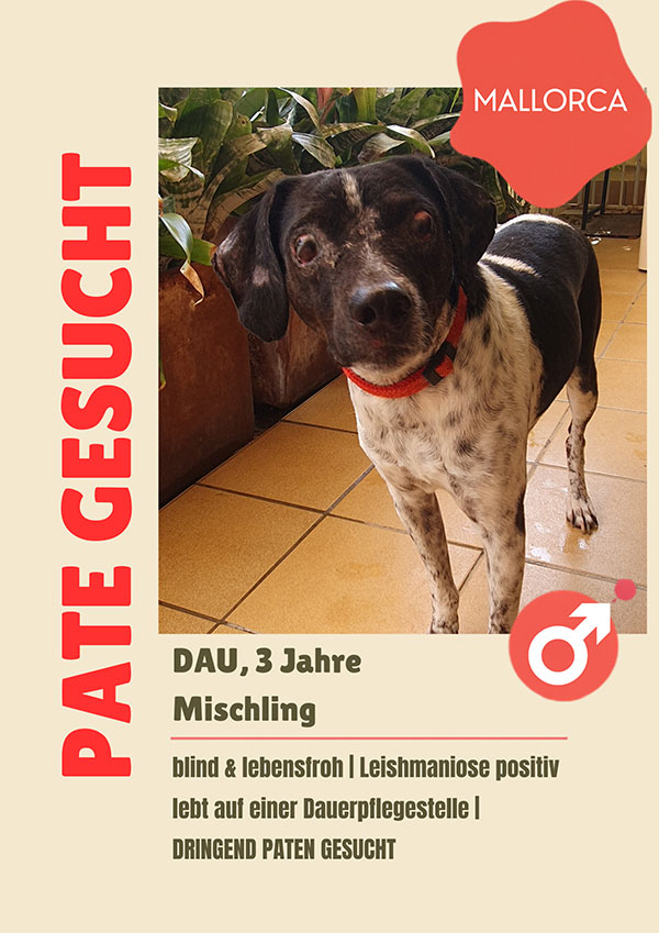 DAU sucht Paten mit Herz