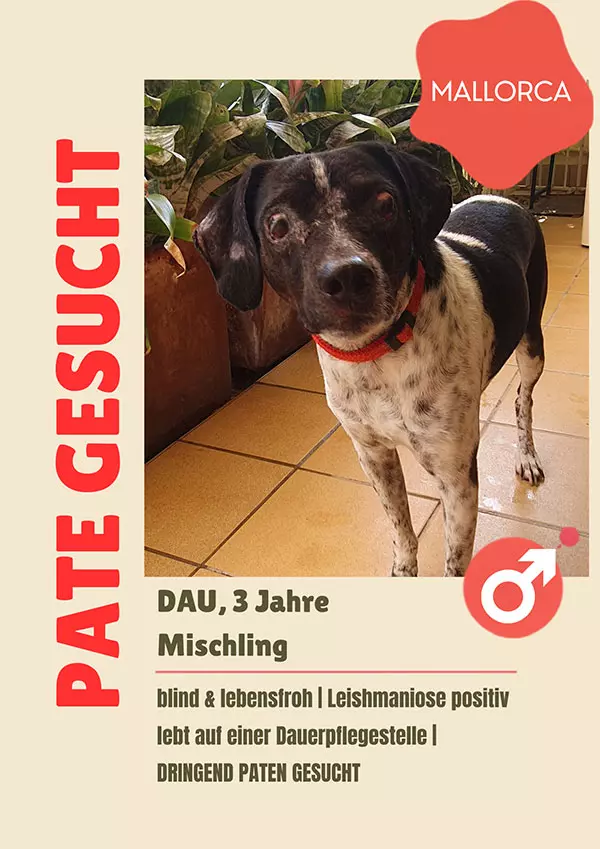DAU sucht Paten mit Herz